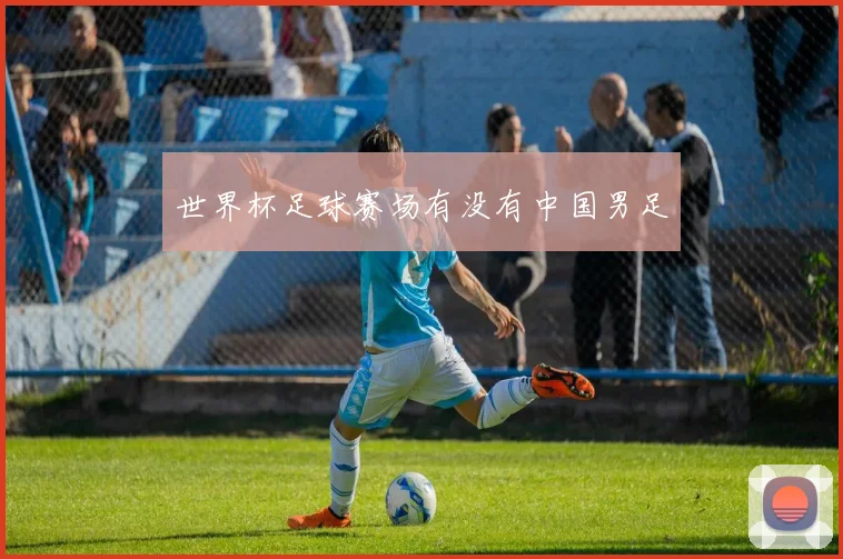 世界杯足球赛场有没有中国男足