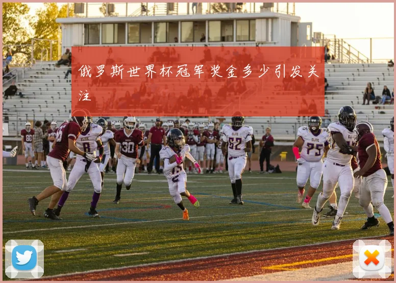 俄罗斯世界杯冠军奖金多少引发关注