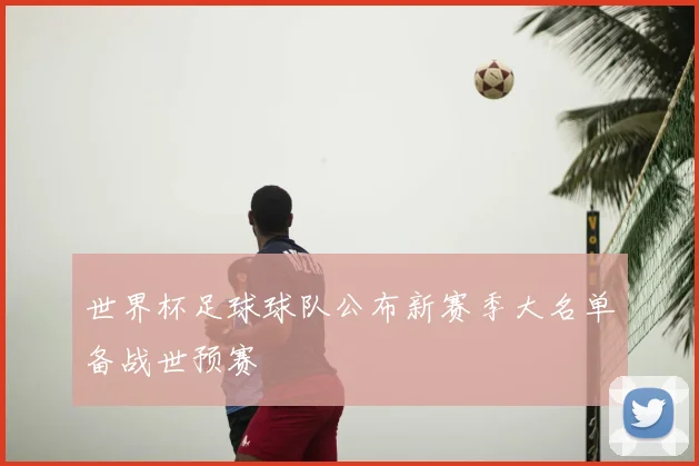 世界杯足球球队公布新赛季大名单备战世预赛
