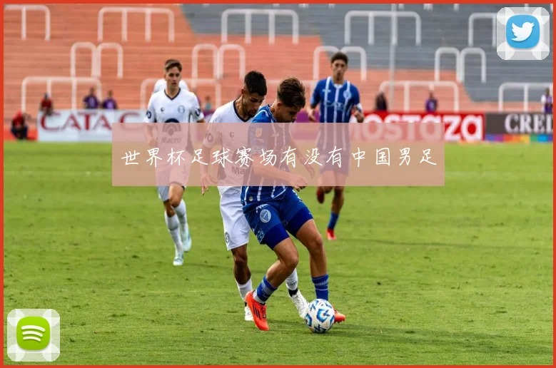世界杯足球赛场有没有中国男足