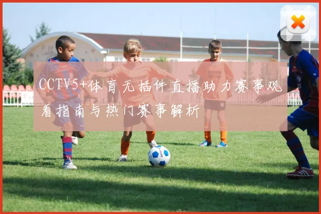 CCTV5+体育无插件直播助力赛事观看指南与热门赛事解析