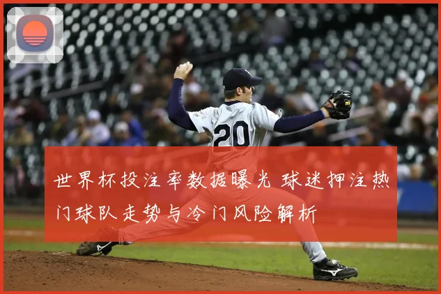世界杯投注率数据曝光 球迷押注热门球队走势与冷门风险解析
