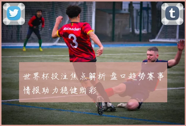 世界杯投注焦点解析 盘口趋势赛事情报助力稳健购彩